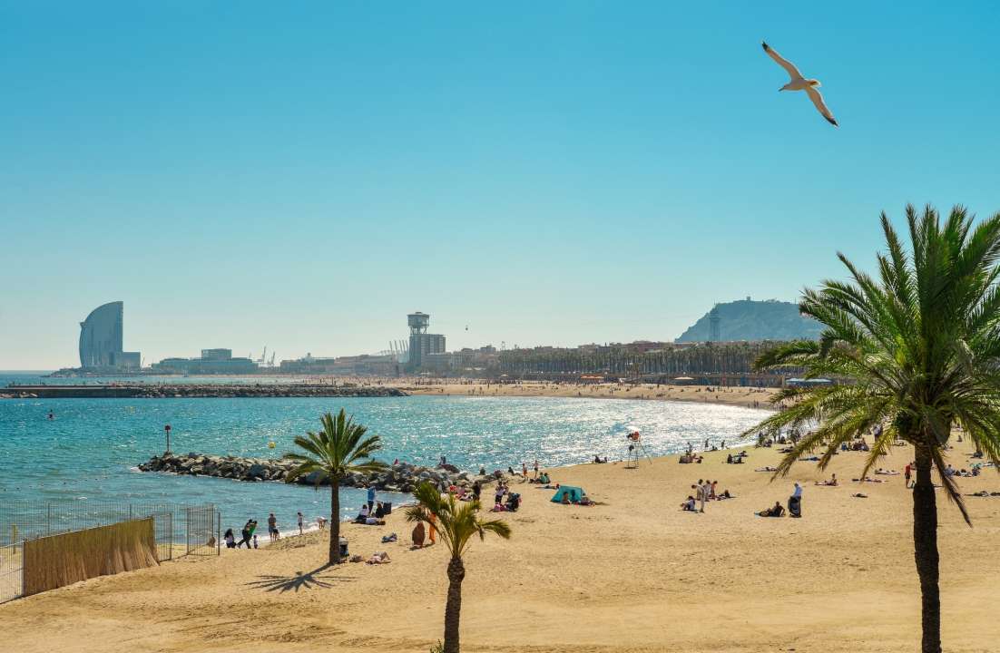Barcelona food wine tour
