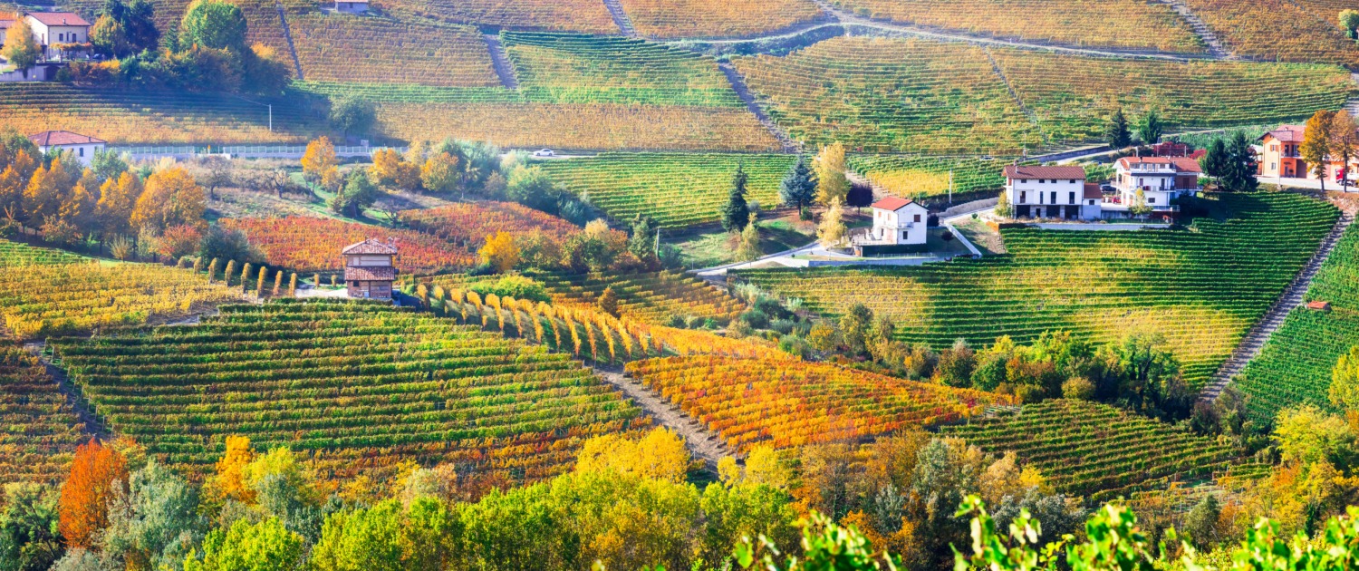 Pictorial countryside and beautiful vineyards of Piemonte in autumn colors. Italy