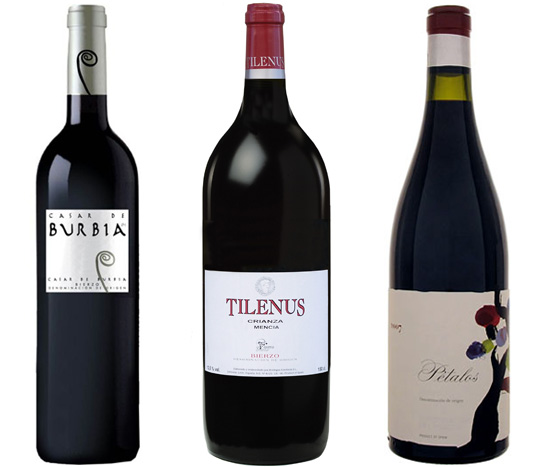 Bierzo wines