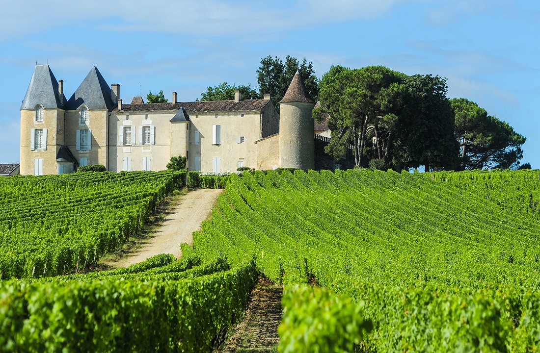 Vineyard and Chateau d'Yquem, Sauternes Region, Aquitaine, Franc