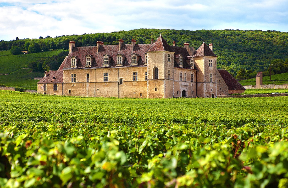 Typical French vineyard and chateau