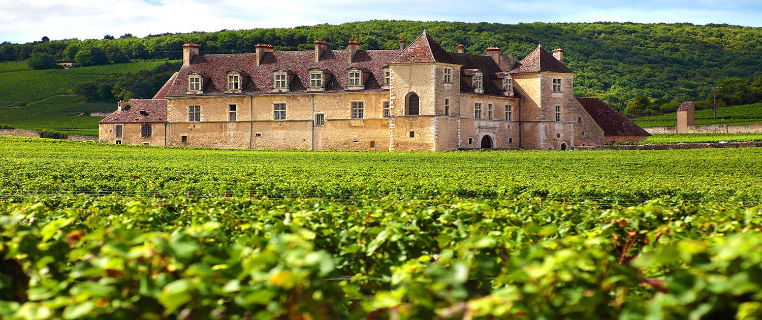 Typical French vineyard and chateau