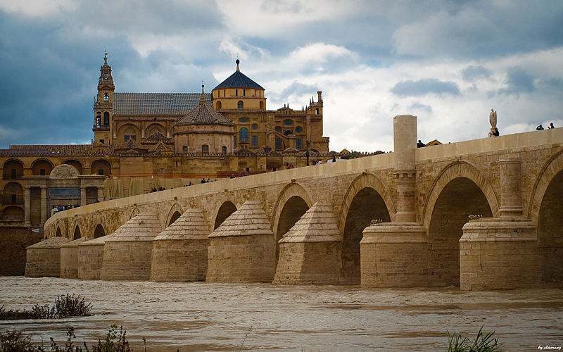 Cordoba Bridge