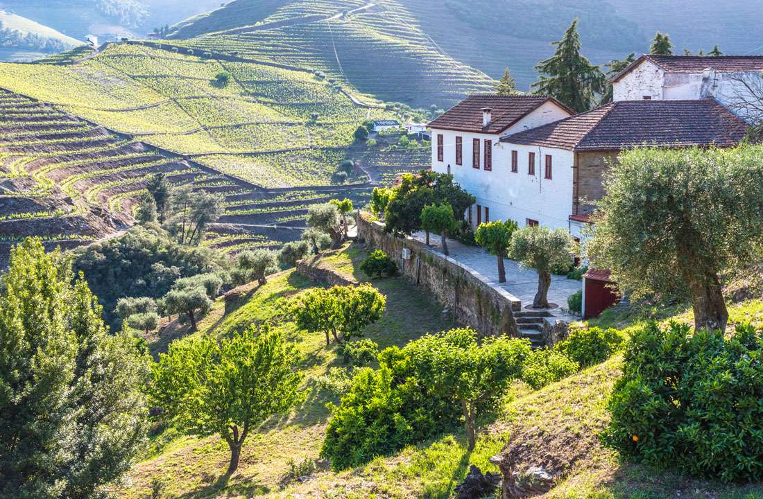 Wine & Culture Tour of Portugal