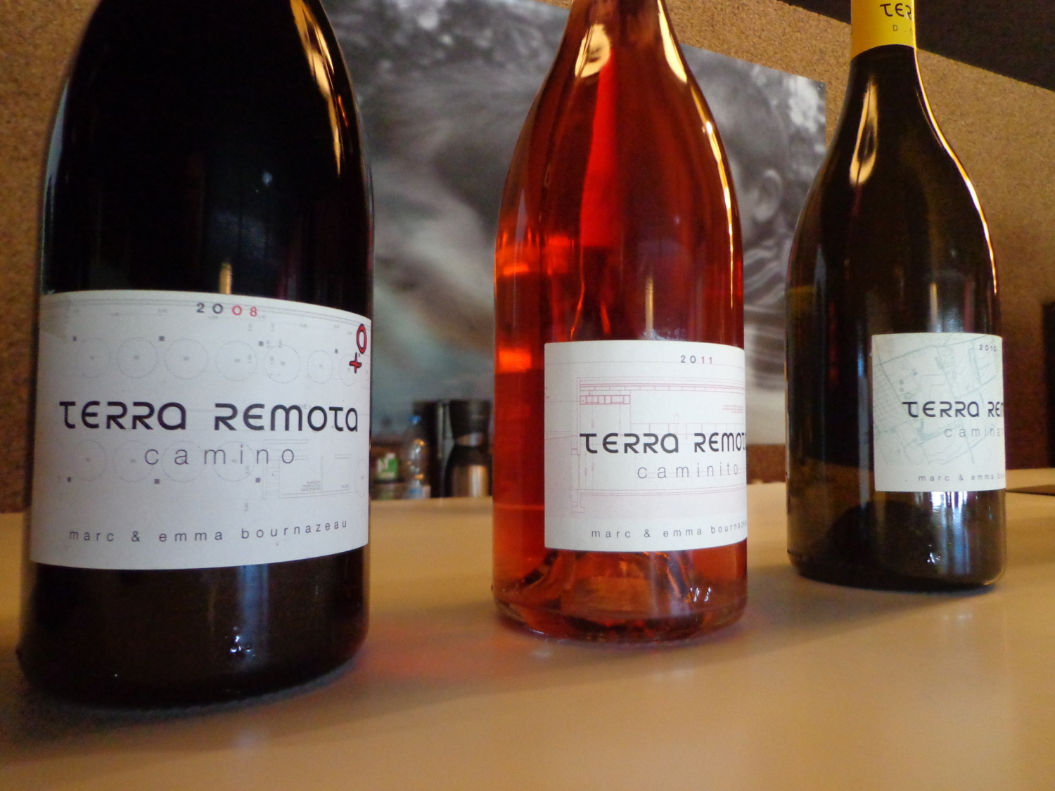 The best wineries in the Spanish Emporda Wine Region