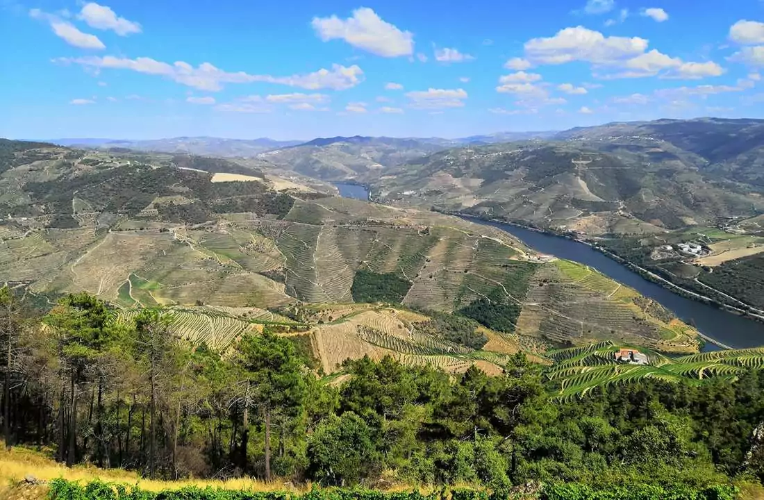 Day 6 wine lovers tour of Spain & Portugal