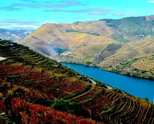 Douro_S&PTOUR