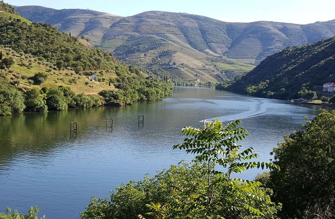 PORTO & DOURO VALLEY WINE TOUR