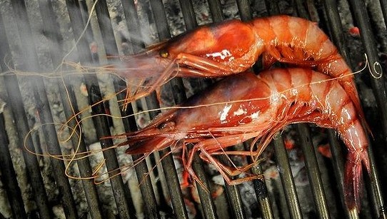 Etxebarri prawns on the grill