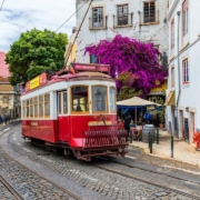 PORTUGAL FOOD & WINE TOURS