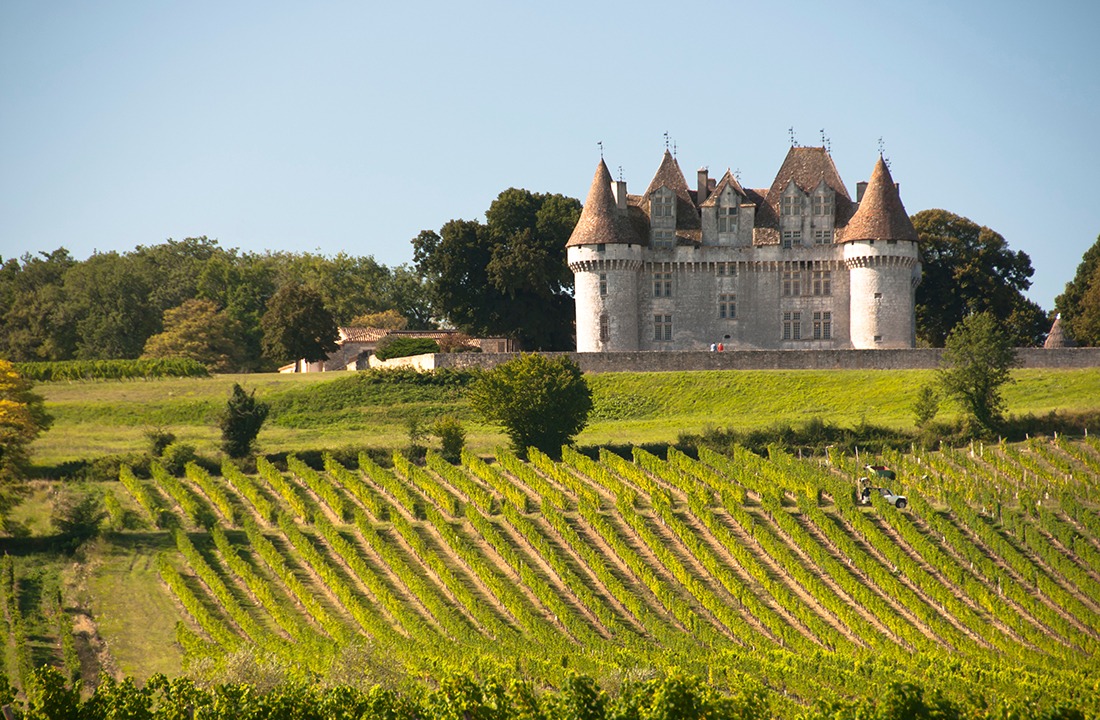 Vineyards at Chateau Monbazillac Dordogne France
