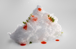 Mugaritz Dish