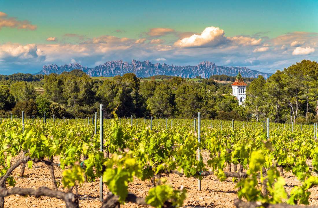 Essential Wine Tour of Spain & France