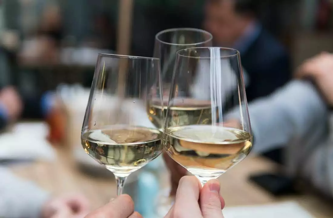 Penedes_ white WINE LOVERS TUR OF SPAIN & PORTUGAL