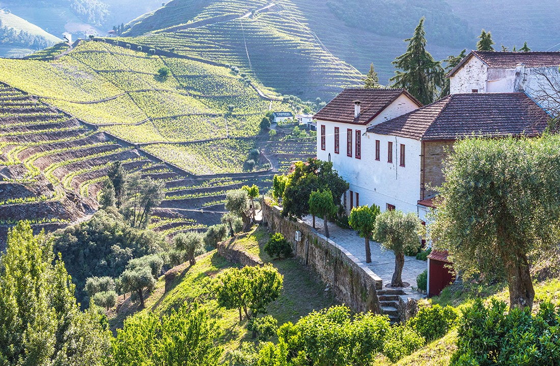 Landscape of the Douro river regionin Portugal - Vineyards