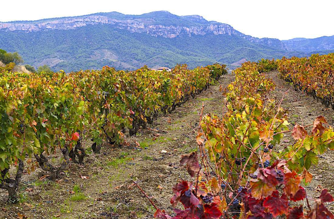 Essential Wine Tour of Spain & France