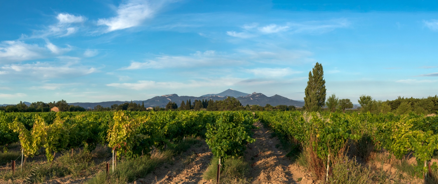 Rhône Valley slider 2 1500 x 630