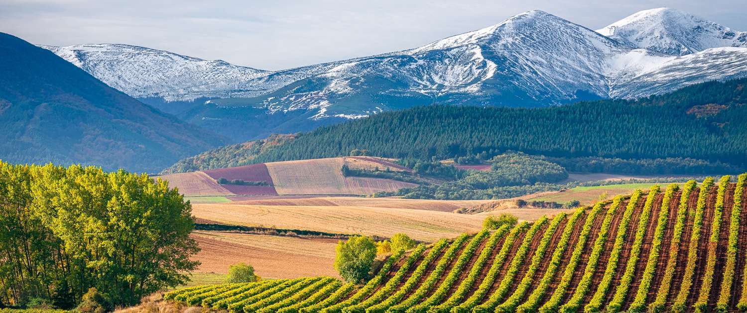 Essential Wine Tour of Spain & France