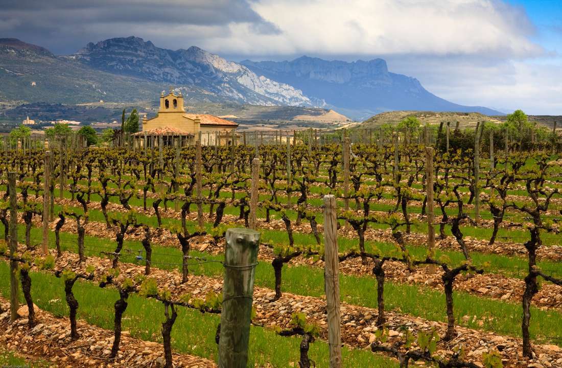 Essential Wine Tour of Spain & France