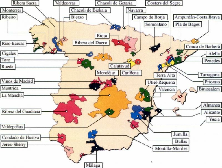 Wine Regions of Spain Gourmand Breaks DO the Vineyards