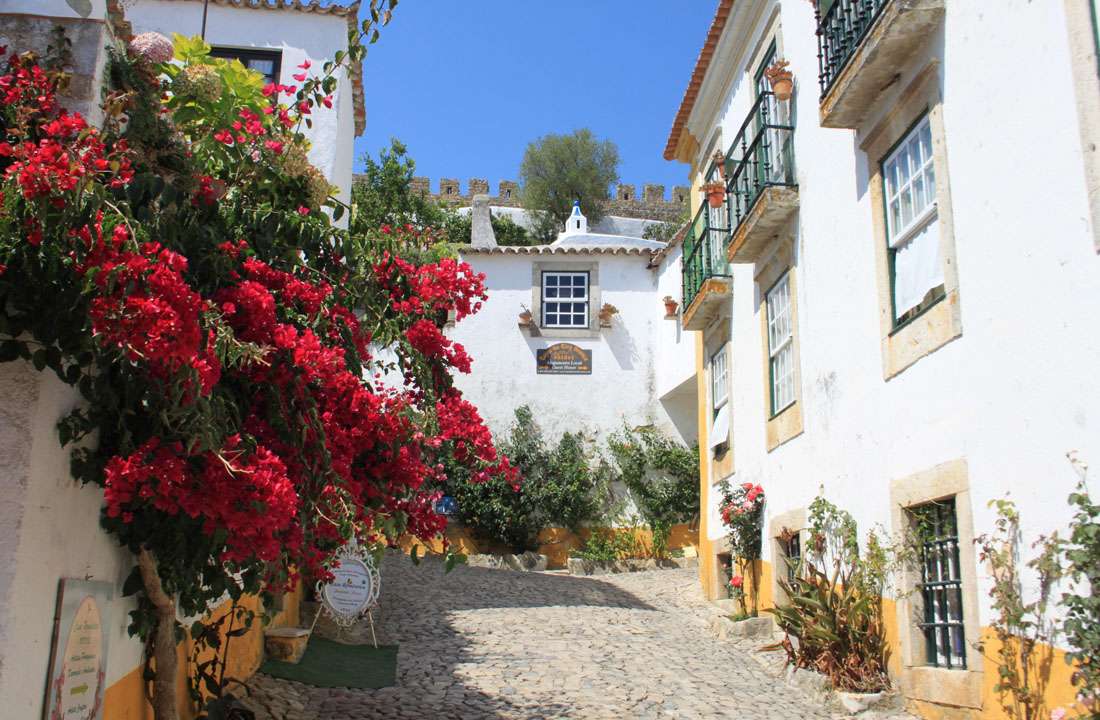 Wine & Culture Tour of Portugal