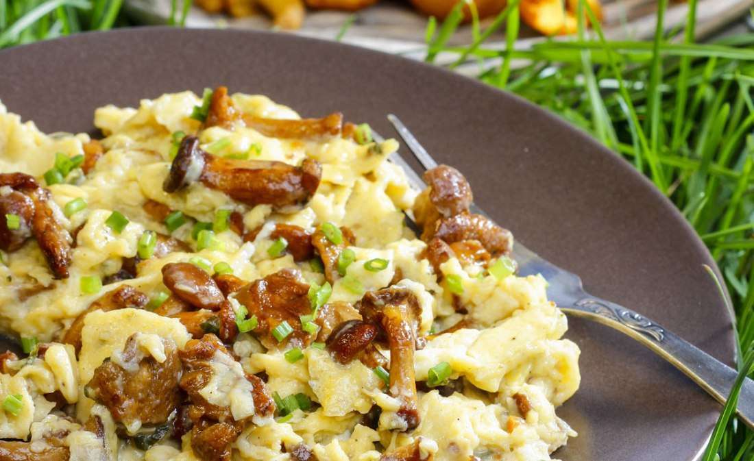 Traditional Spanish Recipe Scrambled Eggs with Mushrooms