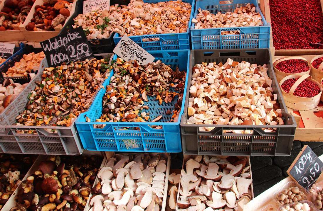 mushroom market