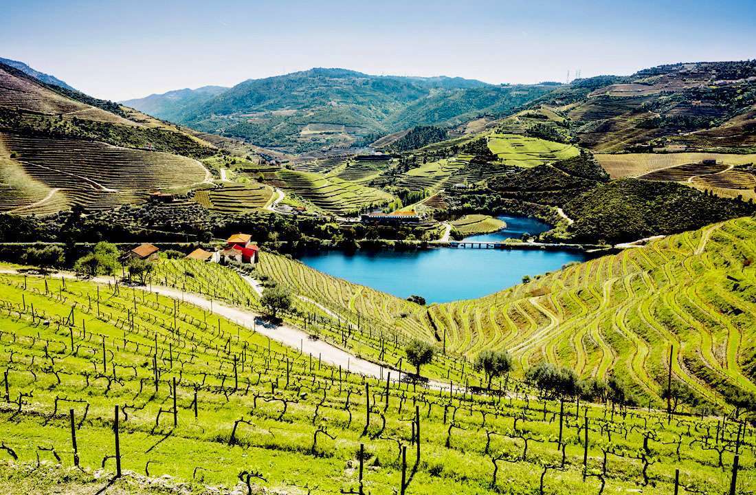 luxury douro valley tours